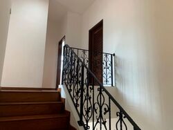 Serangoon Garden Estate (D19), Semi-Detached #496279041